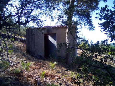 Land with a total area of ??2.5 hectares composed of pine forest, natural meadow and arable crop. It has a storage room. Quiet location and unshakable natural beauty.