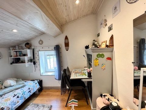 photo no. 12
