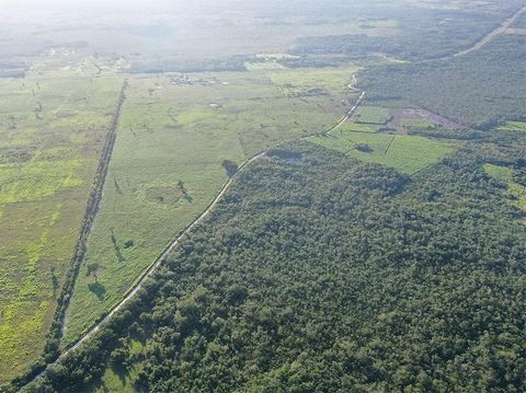 Located just four 4 miles from Carmelita Village in the Orange Walk District is this125 acres of fully cleared land.  This property is ideally located less than 10 minutes out of Orange Walk Town and about 1 hour from the Northern Border and Mexico. ...