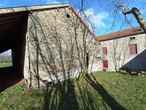 photo no. 6