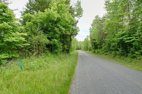 Want some acreage to clear and start your own little farmette. Or create your own park like setting. Make your appointment today and come take a look at this 20 acre parcel. There had been a house on the land at one time.