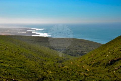 Situé dans le parc naturel de Cascais, à quelques minutes de Malveira da Serra et des plages de Guincho, il dispose de ce grand et beau terrain de 28 960 m2 avec une vue impressionnante sur l’océan Atlantique, orienté au sud. Autrefois cultivé. Si vo...