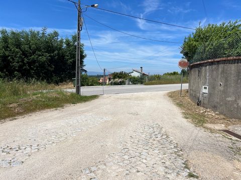 TERRAIN DE 13000 MÈTRES DE CONSTRUCTION, COVAS - TÁBUA. EXPOSITION AU SOLEIL À L’EST, ET À L’OUEST, GRAND ACCÈS EN VOITURE, À 150 MÈTRES DE LA ROUTE GOUDRONNÉE, AVEC ASSAINISSEMENT, ET ÉCLAIRAGE ÉLECTRIQUE SUR PLACE. À 10 MINUTES DE LA VILLE D’OLIVEI...