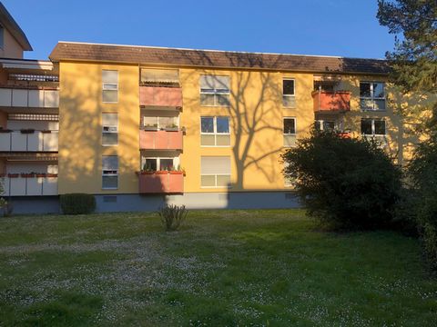 The apartment is located in a quiet suburb to the west of Frankfurt. Distance to green belt forest of Frankfurt is 200m, distance to airport 5km to be reached by public transportation, distance to Frankfurt downtown 10km to be reached by public trans...