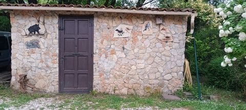photo no. 2
