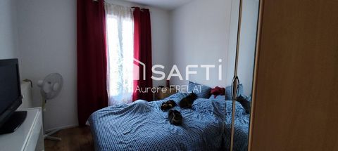 photo no. 6