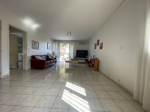 photo no. 2
