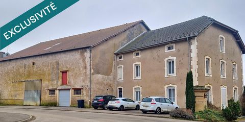 photo no. 12