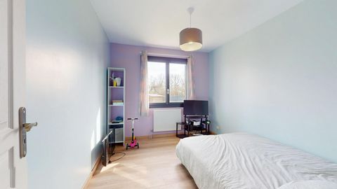photo no. 8