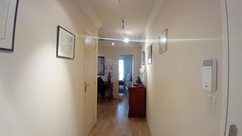 photo no. 4