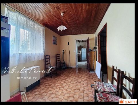 photo no. 12