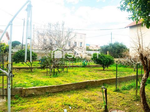 photo no. 14