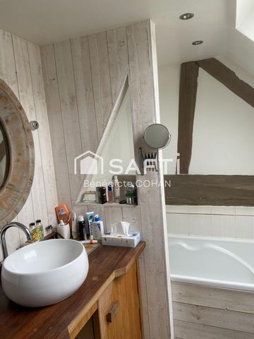 photo no. 11