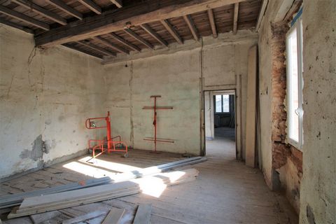 photo no. 10