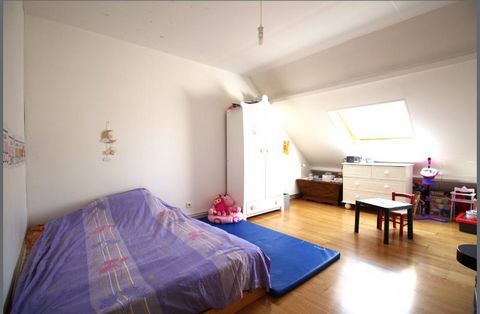 photo no. 7