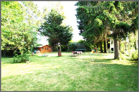 photo no. 12