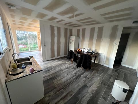 photo no. 8