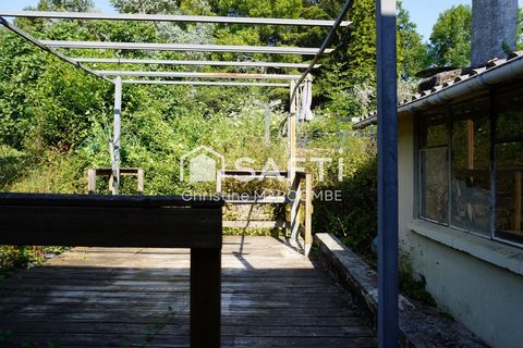 photo no. 9