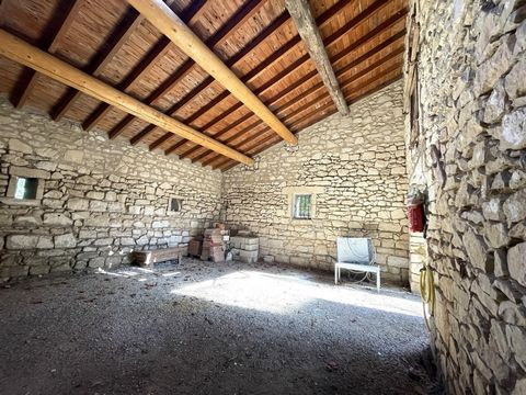 photo no. 13
