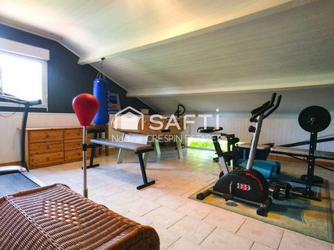 photo no. 10