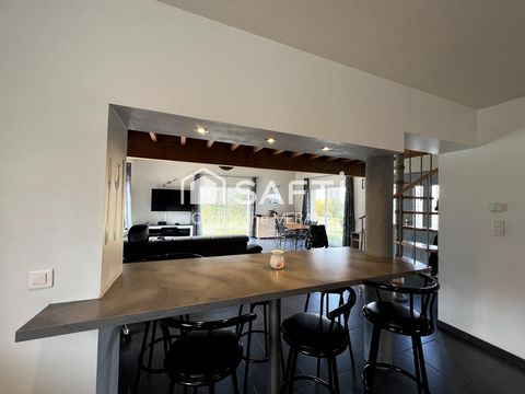 photo no. 18
