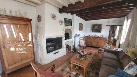 photo no. 11