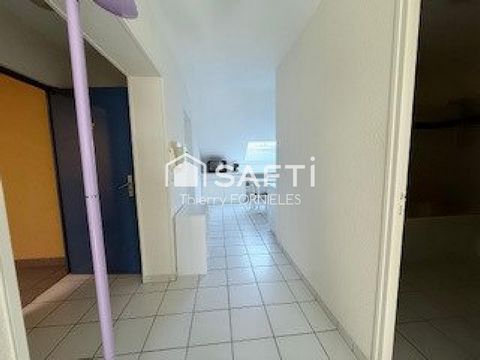photo no. 11
