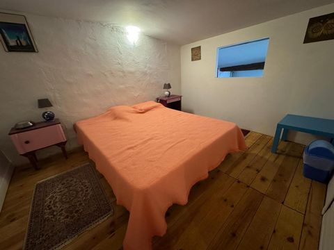 photo no. 8