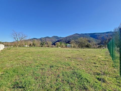 photo no. 2