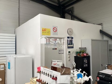 photo no. 10