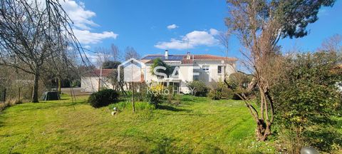 photo no. 14