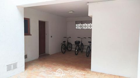 photo no. 18