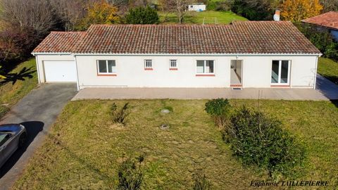 Maison plain-pied 135 m² Terrain 3 000 m² Le Plan (31220) - Calme absolu - Aucun vis-à-vis - À 5 min de Cazéres