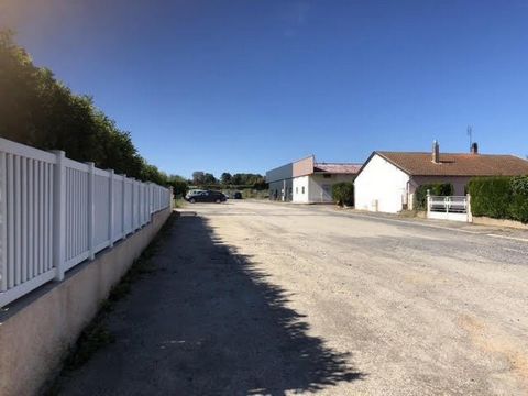 photo no. 2