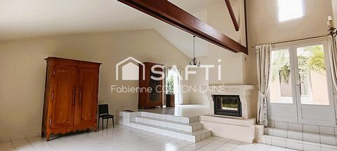 photo no. 11