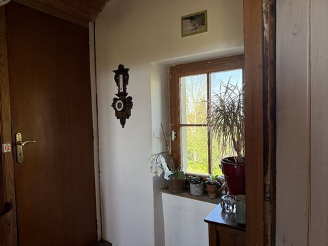 photo no. 11
