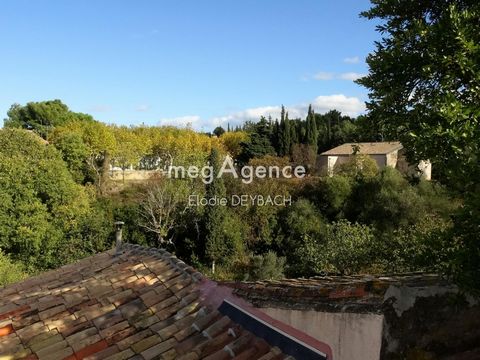 photo no. 10