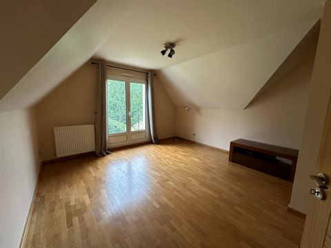 photo no. 12