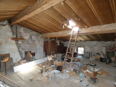 photo no. 12