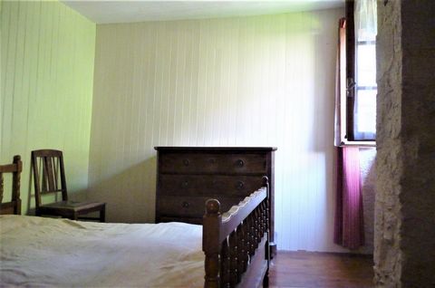 photo no. 9