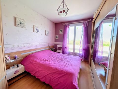photo no. 6