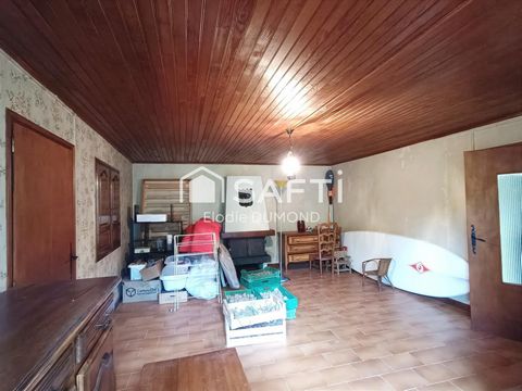 photo no. 18