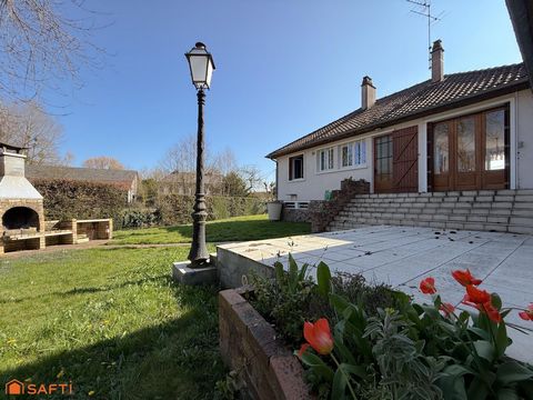 photo no. 11