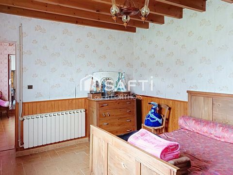 photo no. 8