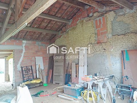 photo no. 11