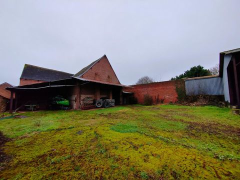 photo no. 4