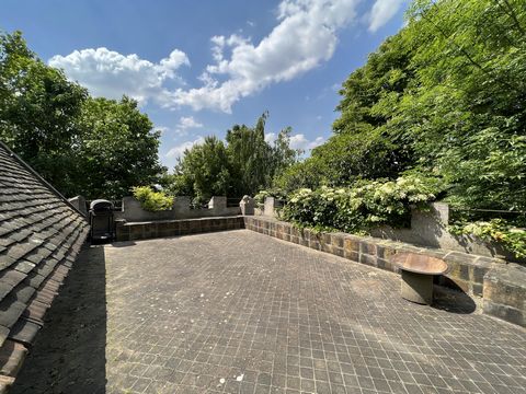 photo no. 17