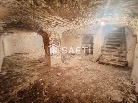 photo no. 15