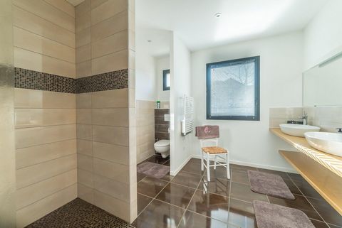 photo no. 12