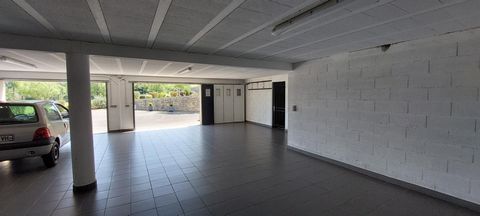 photo no. 13